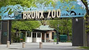 Bronx Zoo