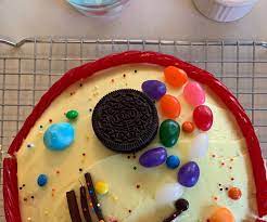 Edible Cell Model