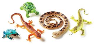 Hudson Highlands- Reptiles and Amphibians